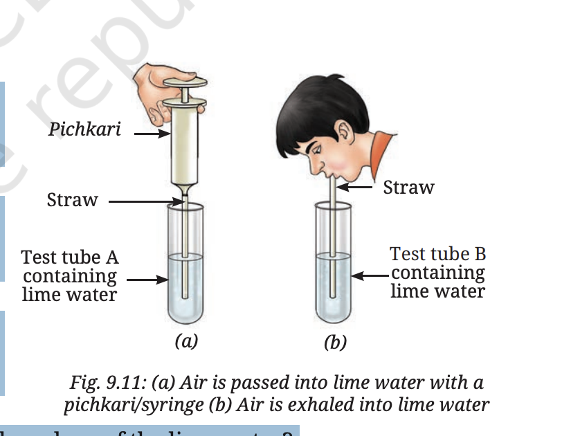 Fig 9.11 — Activity showing air passed into lime water using syringe (a) and exhaled air blown through straw (b)