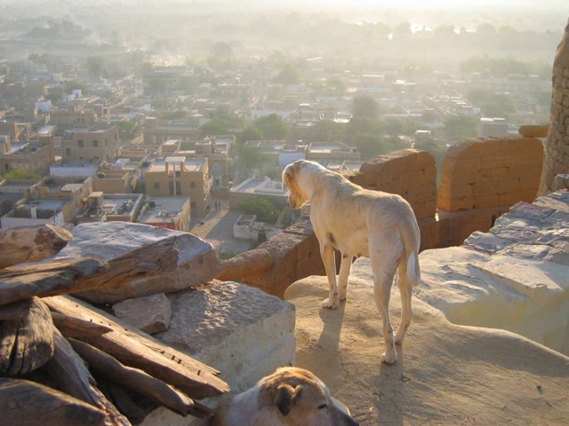View of Jaisalmer city from fort