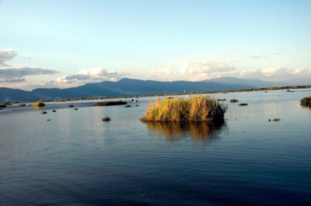 Loktak Lake with floating phumdis