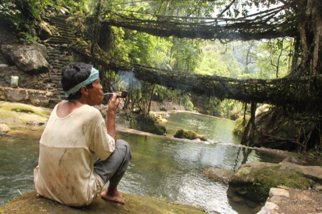Living root bridge in Meghalaya