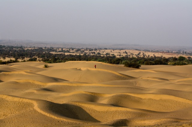 Sand dunes in the Thar Desert, Rajasthan