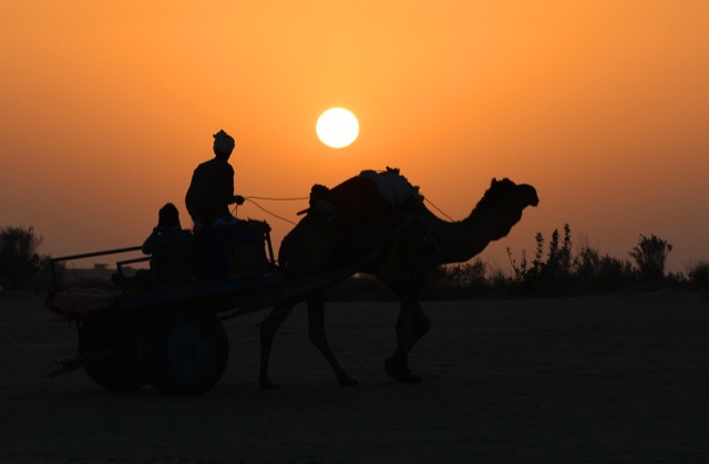 Sunset in the Thar Desert